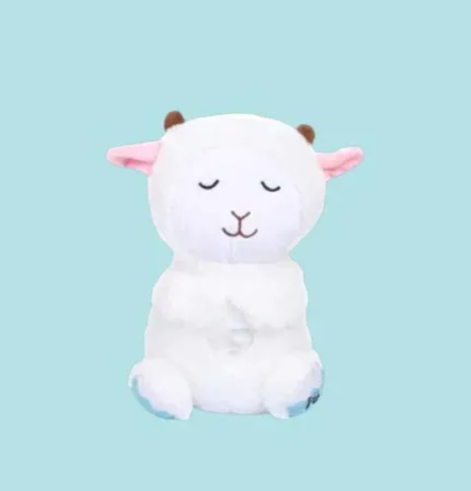 The Sleepy Buddy